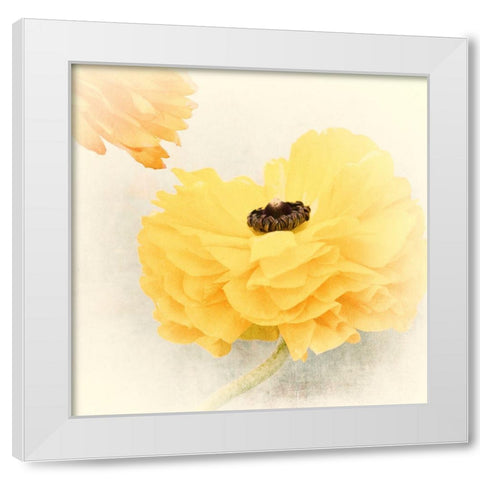 Frills White Modern Wood Framed Art Print by Stalus, Judy