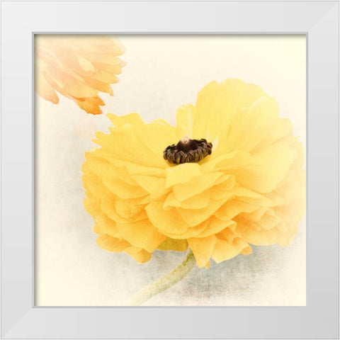 Frills White Modern Wood Framed Art Print by Stalus, Judy