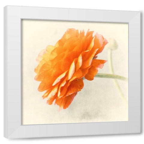 Orange White Modern Wood Framed Art Print by Stalus, Judy