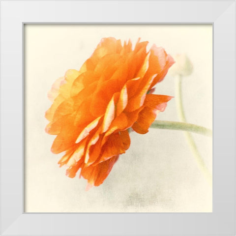 Orange White Modern Wood Framed Art Print by Stalus, Judy