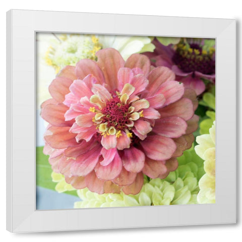 Pink Lasy White Modern Wood Framed Art Print by Stalus, Judy