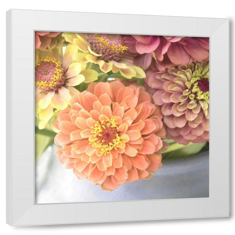 Creamsickle White Modern Wood Framed Art Print by Stalus, Judy