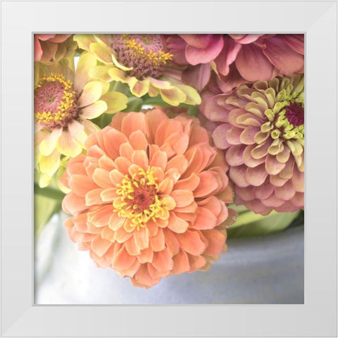 Creamsickle White Modern Wood Framed Art Print by Stalus, Judy