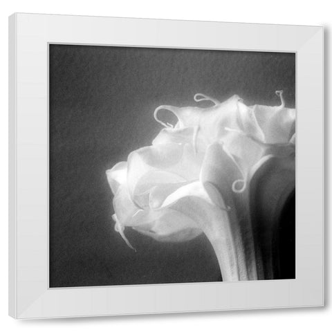 Light White Modern Wood Framed Art Print by Stalus, Judy