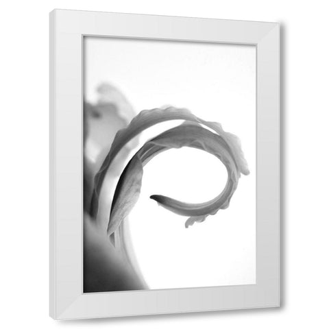 Wave White Modern Wood Framed Art Print by Stalus, Judy