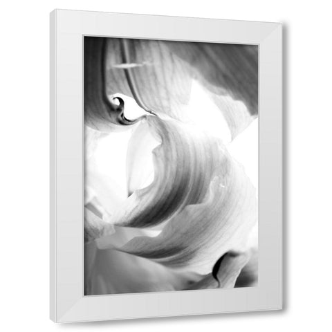 Breaker White Modern Wood Framed Art Print by Stalus, Judy