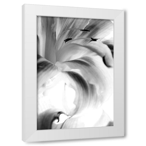 Explosion White Modern Wood Framed Art Print by Stalus, Judy