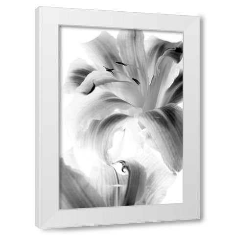 Burst White Modern Wood Framed Art Print by Stalus, Judy