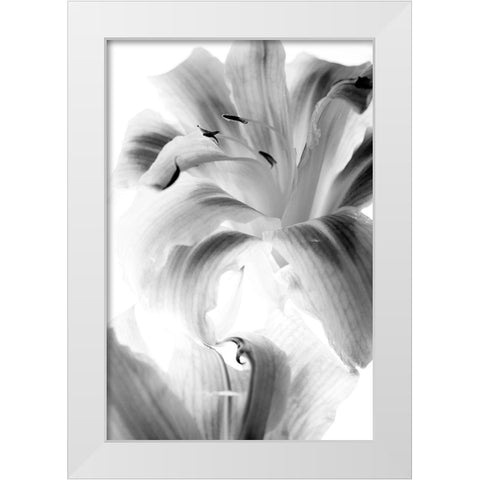 Burst White Modern Wood Framed Art Print by Stalus, Judy