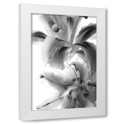 Fire Works White Modern Wood Framed Art Print by Stalus, Judy