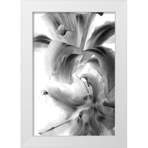 Fire Works White Modern Wood Framed Art Print by Stalus, Judy