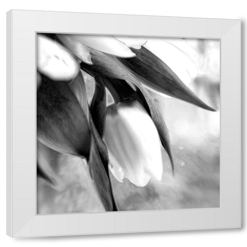 Remember White Modern Wood Framed Art Print by Stalus, Judy