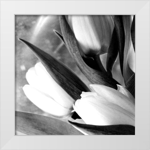 Refresh White Modern Wood Framed Art Print by Stalus, Judy