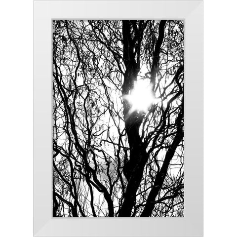 Break Through White Modern Wood Framed Art Print by Stalus, Judy