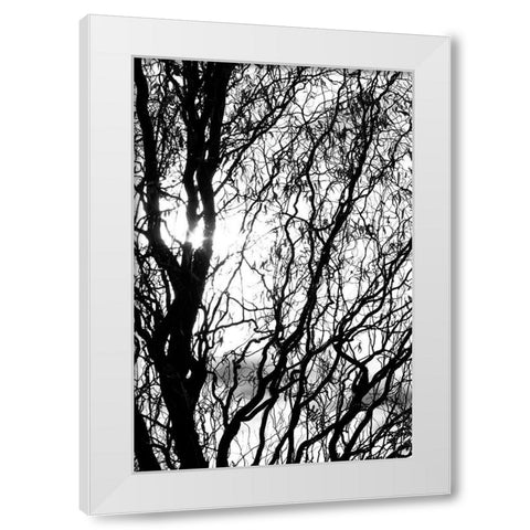 Miracle White Modern Wood Framed Art Print by Stalus, Judy