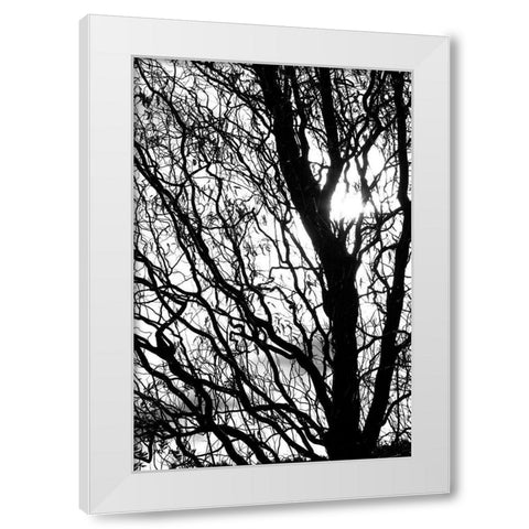 remember White Modern Wood Framed Art Print by Stalus, Judy