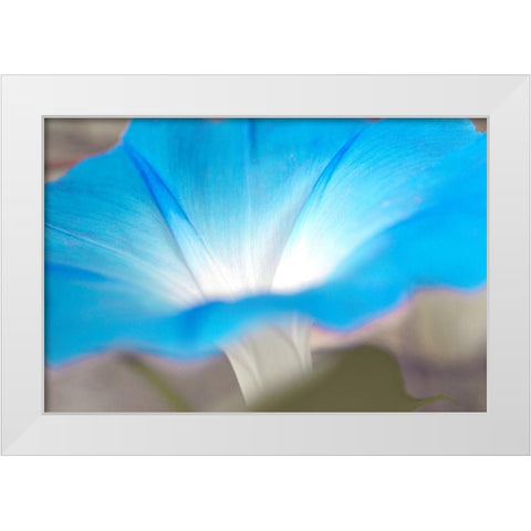 blue White Modern Wood Framed Art Print by Stalus, Judy