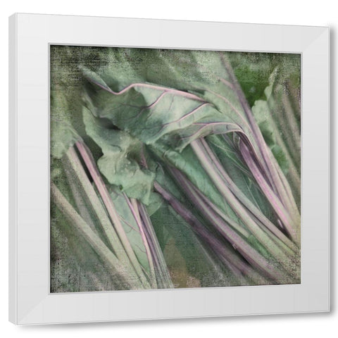 Day Dream White Modern Wood Framed Art Print by Stalus, Judy