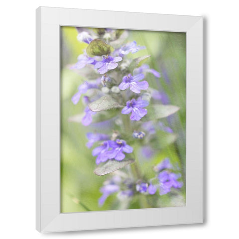 Blue Day White Modern Wood Framed Art Print by Stalus, Judy