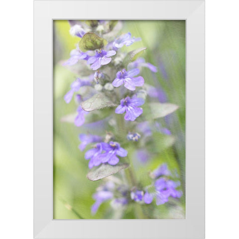 Blue Day White Modern Wood Framed Art Print by Stalus, Judy