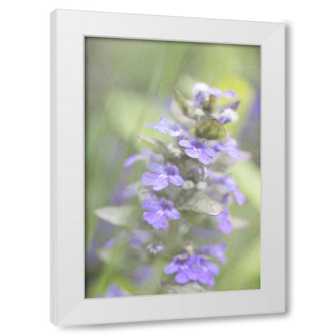 Blue Morning White Modern Wood Framed Art Print by Stalus, Judy