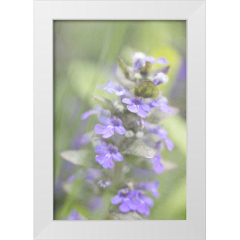 Blue Morning White Modern Wood Framed Art Print by Stalus, Judy