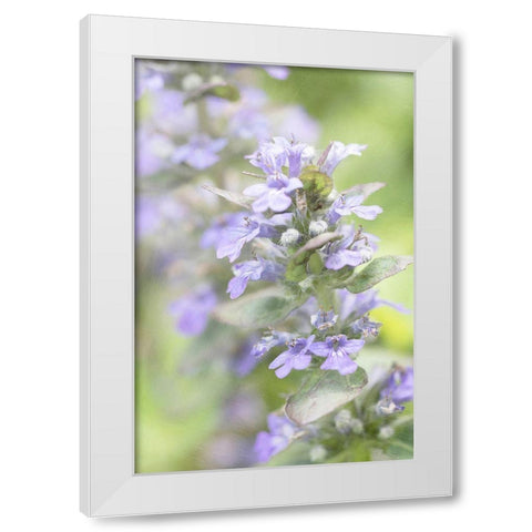 Blue Light White Modern Wood Framed Art Print by Stalus, Judy