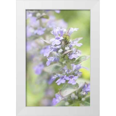 Blue Light White Modern Wood Framed Art Print by Stalus, Judy