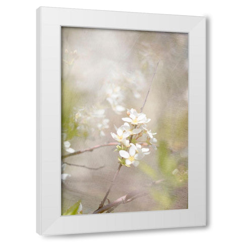 Mystery White Modern Wood Framed Art Print by Stalus, Judy