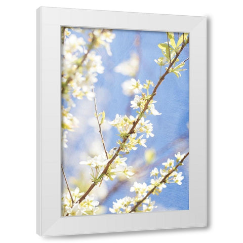 Blue Sky White Modern Wood Framed Art Print by Stalus, Judy