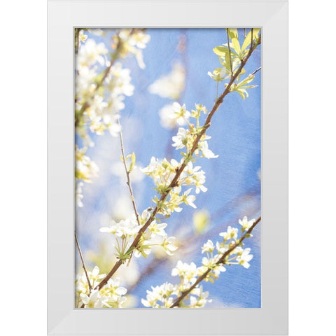 Blue Sky White Modern Wood Framed Art Print by Stalus, Judy