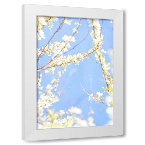 Blue Day White Modern Wood Framed Art Print by Stalus, Judy