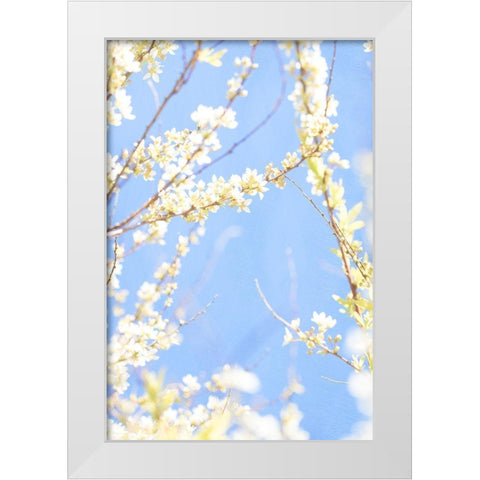 Blue Day White Modern Wood Framed Art Print by Stalus, Judy