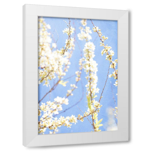 Blue Morning White Modern Wood Framed Art Print by Stalus, Judy