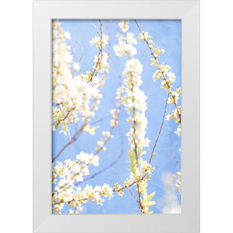 Blue Morning White Modern Wood Framed Art Print by Stalus, Judy