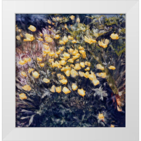 Buttercups White Modern Wood Framed Art Print by Stalus, Judy