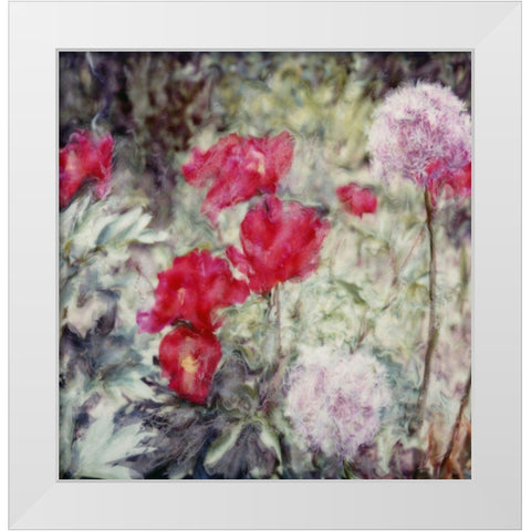 Garden White Modern Wood Framed Art Print by Stalus, Judy