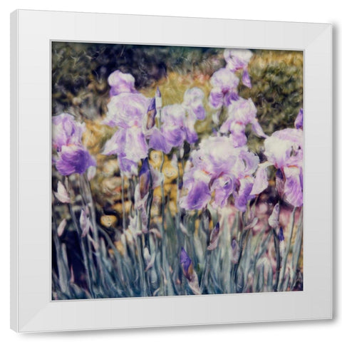Iris Garden White Modern Wood Framed Art Print by Stalus, Judy