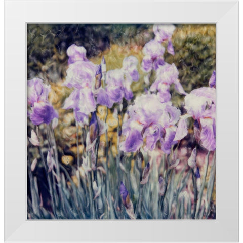 Iris Garden White Modern Wood Framed Art Print by Stalus, Judy