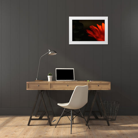 Flame White Modern Wood Framed Art Print by Stalus, Judy