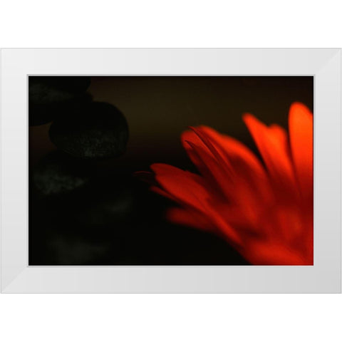 Flame White Modern Wood Framed Art Print by Stalus, Judy