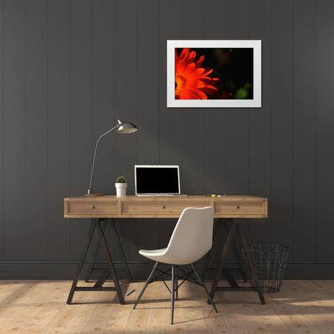 Red Sun White Modern Wood Framed Art Print by Stalus, Judy