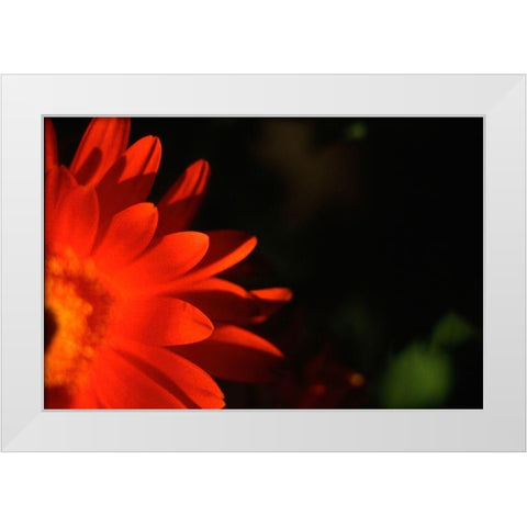 Red Sun White Modern Wood Framed Art Print by Stalus, Judy