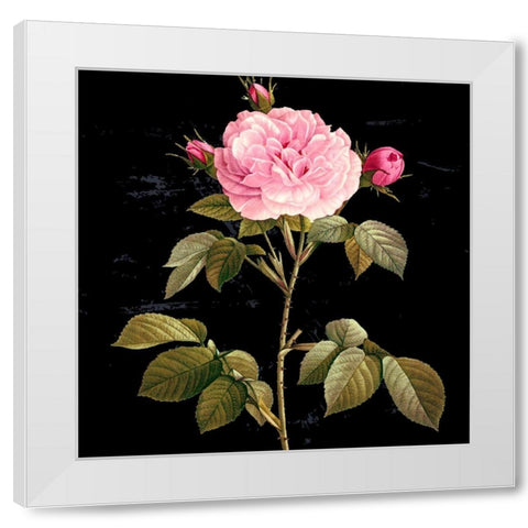 In Bloom I White Modern Wood Framed Art Print by Smith, Karen
