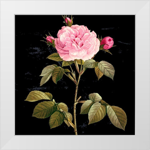 In Bloom I White Modern Wood Framed Art Print by Smith, Karen