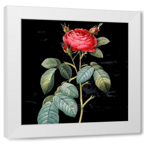 In Bloom II White Modern Wood Framed Art Print by Smith, Karen