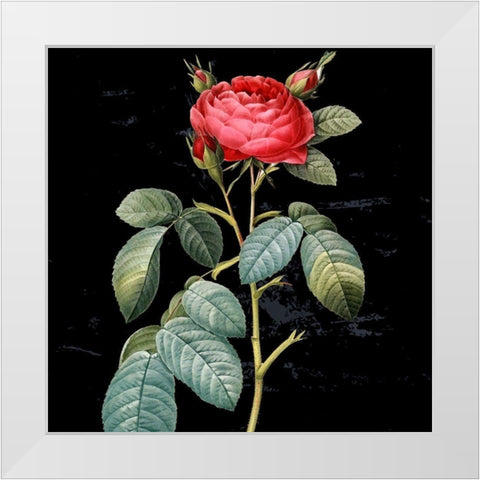 In Bloom II White Modern Wood Framed Art Print by Smith, Karen