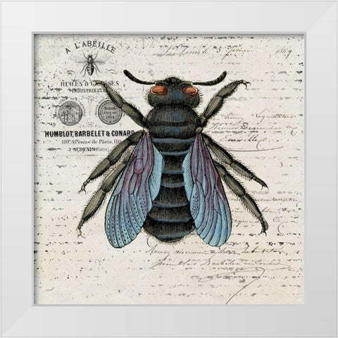 History Bee II White Modern Wood Framed Art Print by Smith, Karen