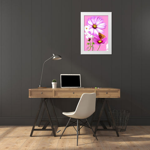 Butterfly on Cosmos White Modern Wood Framed Art Print by Evalia Designs
