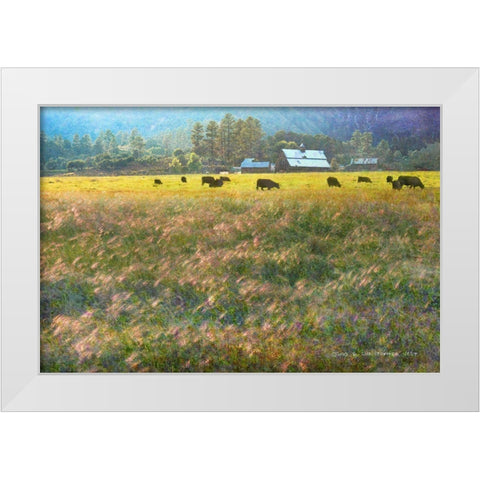 Barn and Foxtail Cherry Creek White Modern Wood Framed Art Print by Vest, Christopher